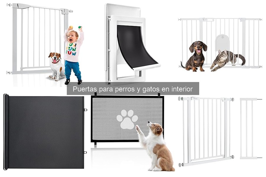 Problemas comunes al usar puertas para perros y gatos