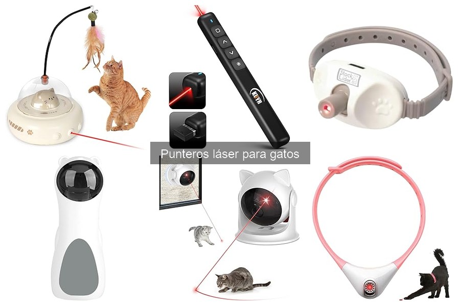 Problemas comunes al usar punteros láser con gatos