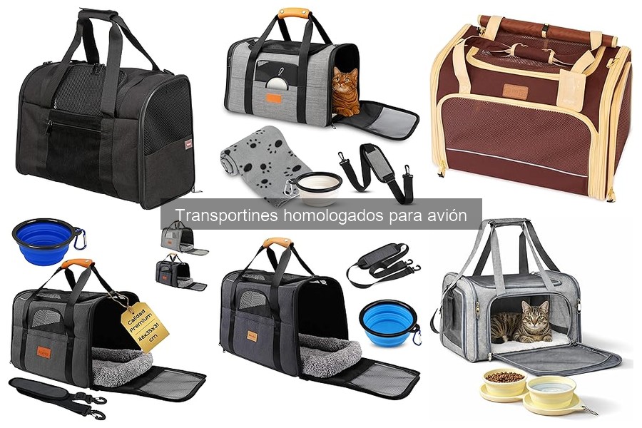 Problemas comunes al usar transportines homologados para avión