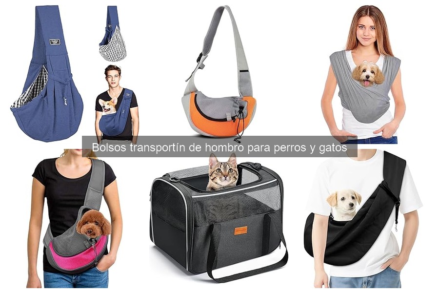 Problemas comunes al usar un bolso transportín de hombro
