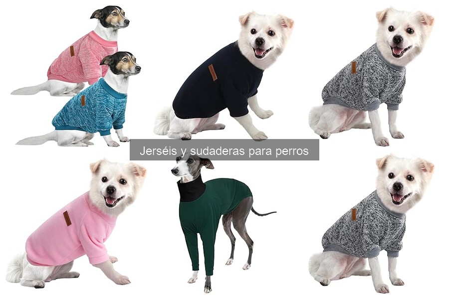 Problemas comunes al vestir a perros con sudaderas