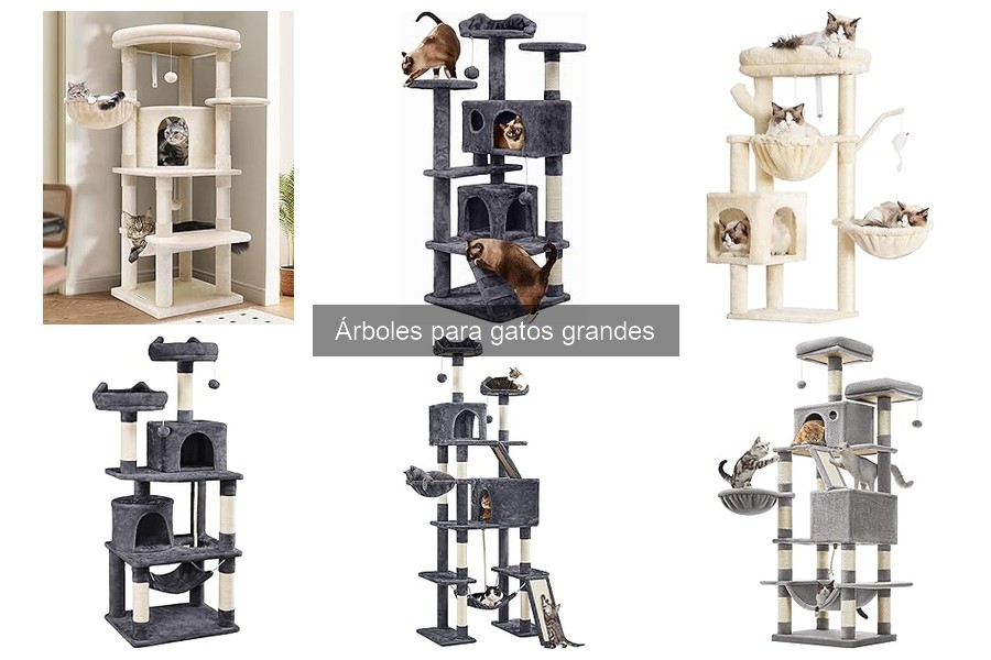 Problemas Comunes con Árboles para Gatos Grandes y Soluciones
