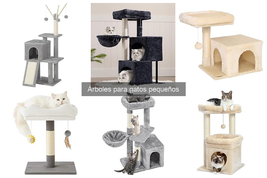 Problemas Comunes con Árboles para Gatos Pequeños y Soluciones