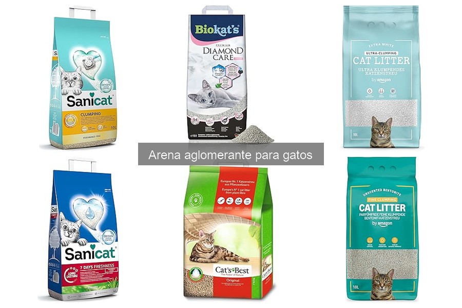 Problemas Comunes con Arena Aglomerante para Gatos