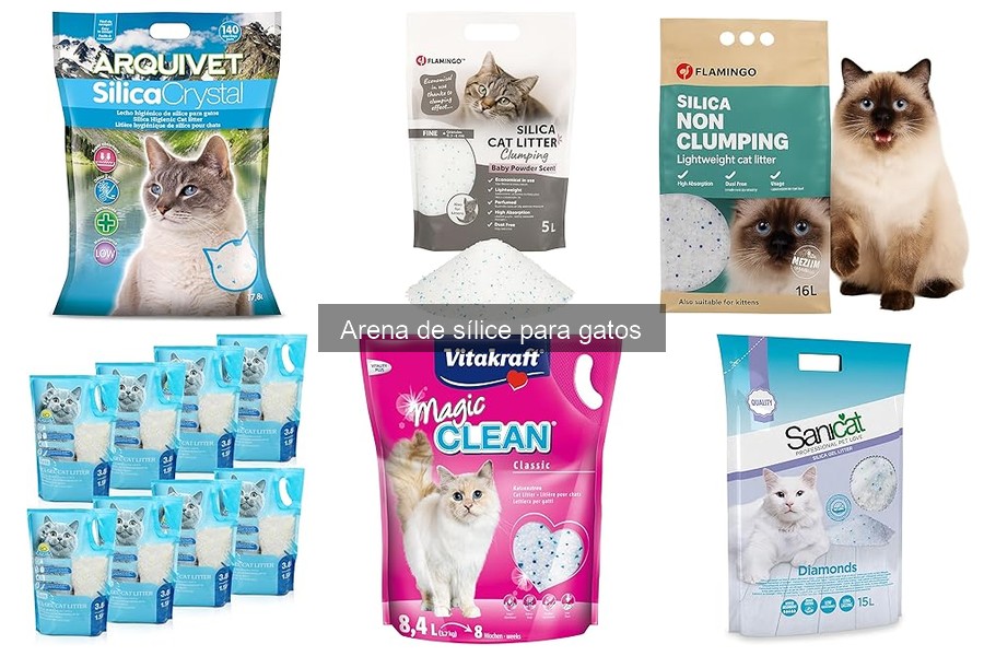 Problemas comunes con arena de sílice para gatos y soluciones