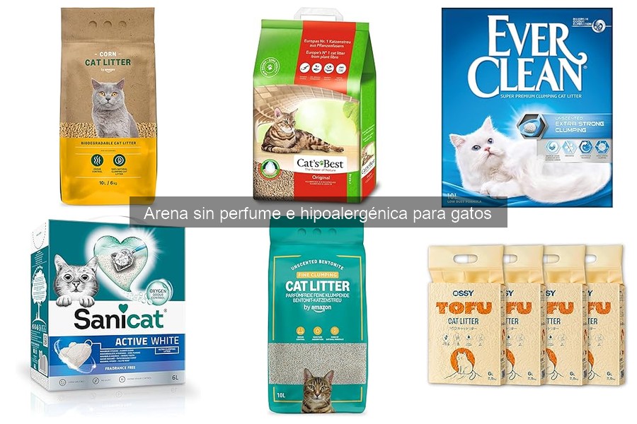 Problemas comunes con arena sin perfume e hipoalergénica
