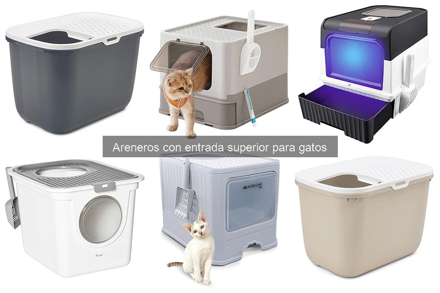 ** Problemas comunes con areneros de entrada superior y soluciones