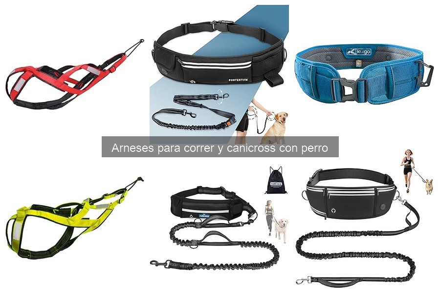 Problemas comunes con arneses para correr y sus soluciones