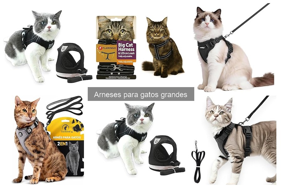 Problemas comunes con arneses para gatos grandes y soluciones