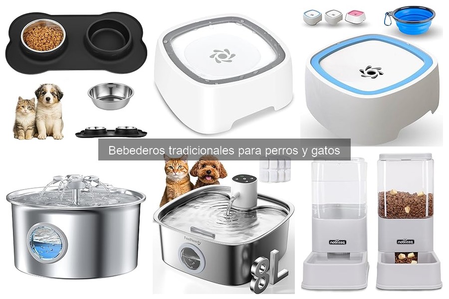 Problemas comunes con bebederos para perros y gatos