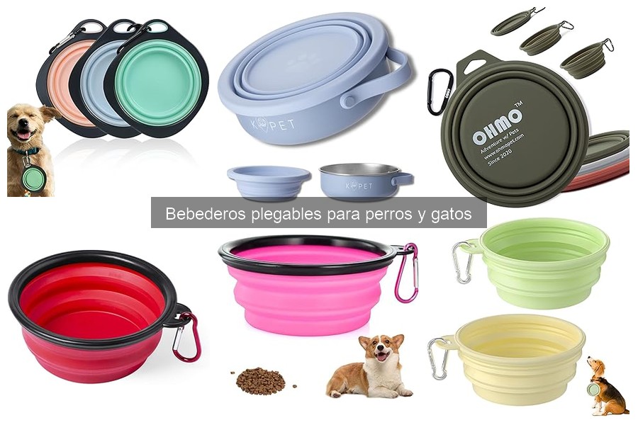 Problemas comunes con bebederos plegables para perros y gatos