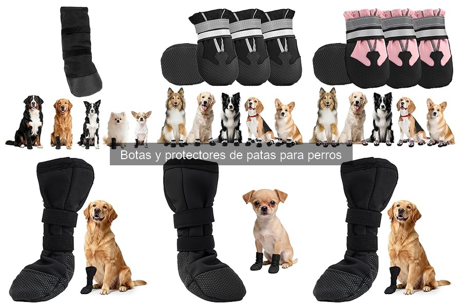 Problemas comunes con botas para perros y soluciones efectivas