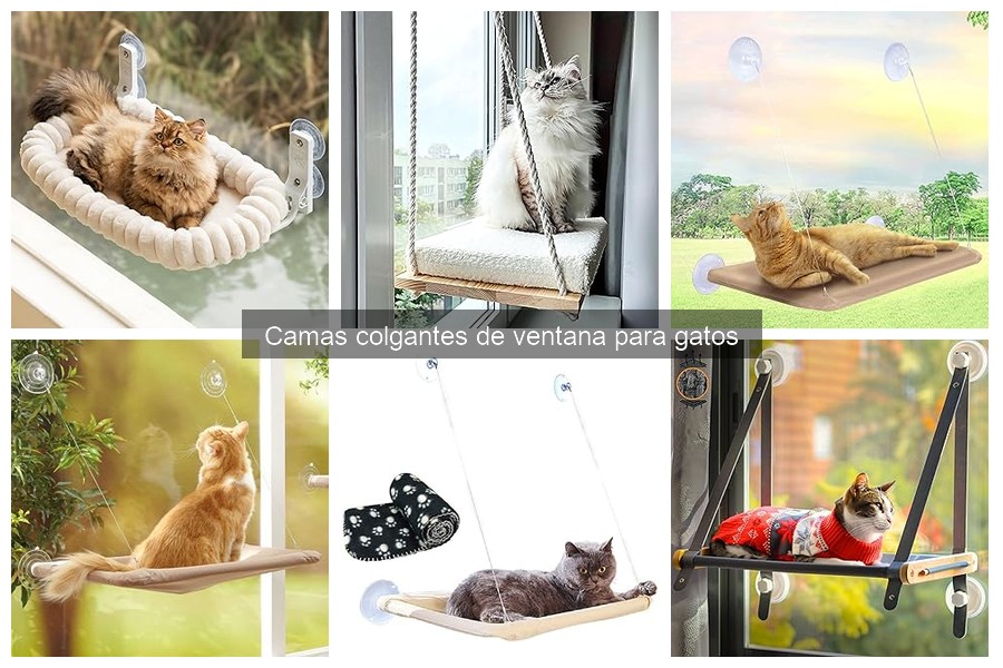 Problemas comunes con camas colgantes de ventana para gatos