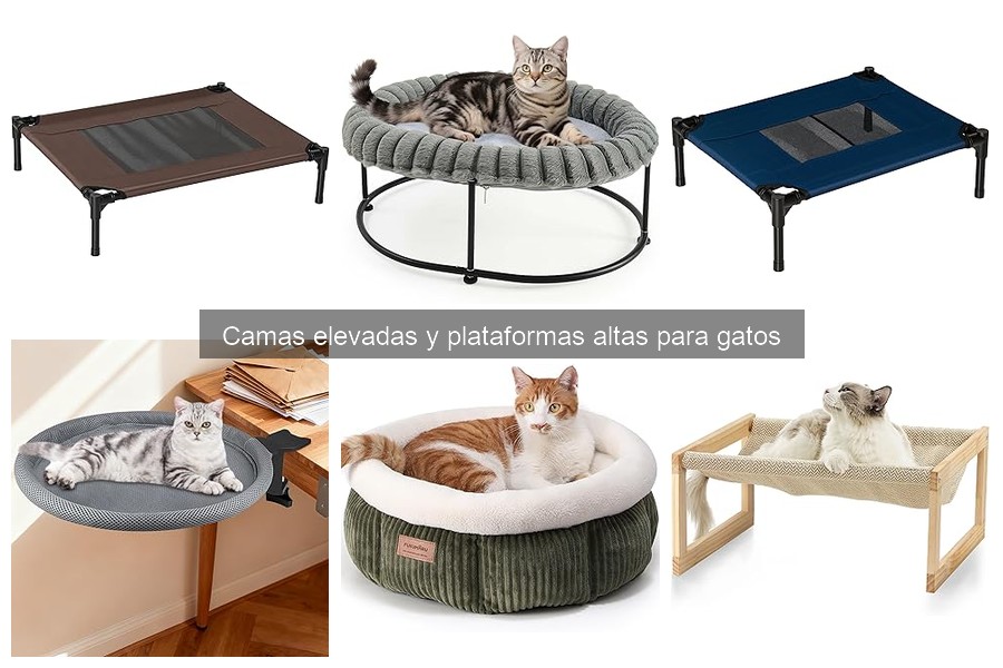 Problemas comunes con camas elevadas para gatos y soluciones