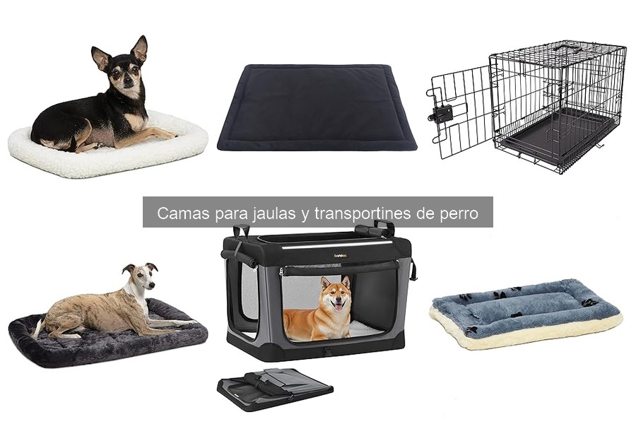 Problemas comunes con camas en transportines de perro