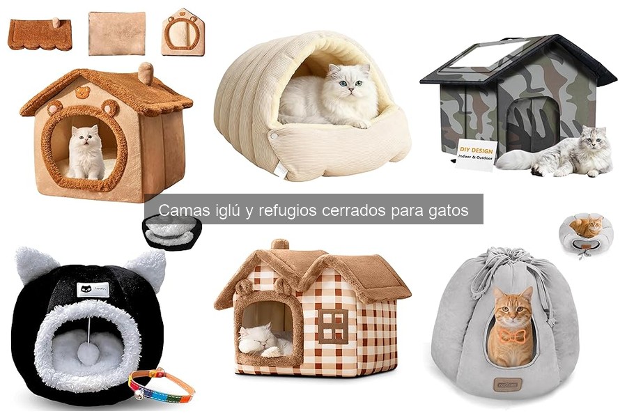 Problemas comunes con camas iglú para gatos y soluciones