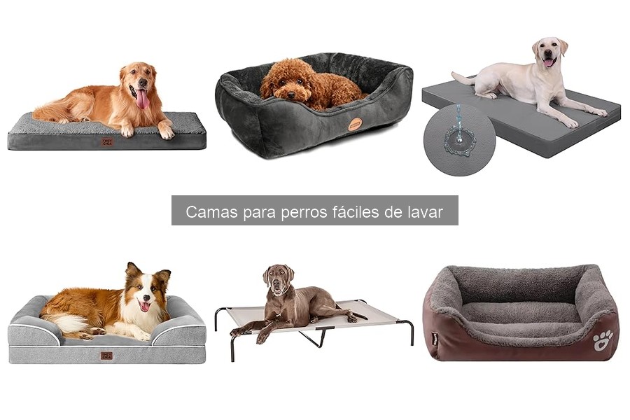 Problemas comunes con camas para perros lavables y soluciones