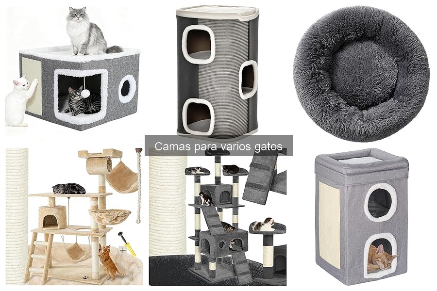 Problemas comunes con camas para varios gatos y soluciones