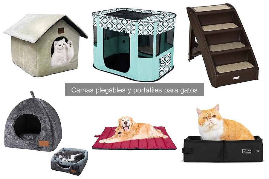 Problemas comunes con camas plegables para gatos