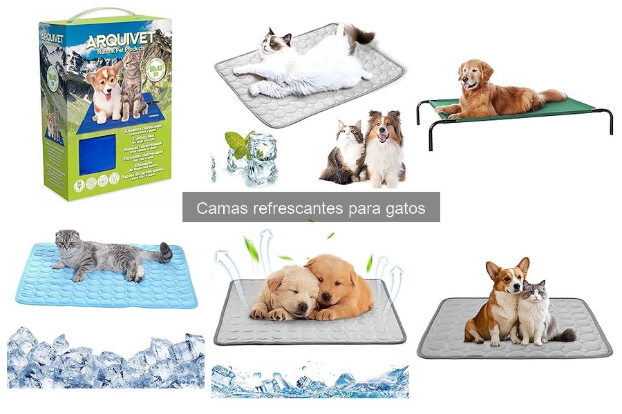 Problemas Comunes con Camas Refrescantes para Gatos