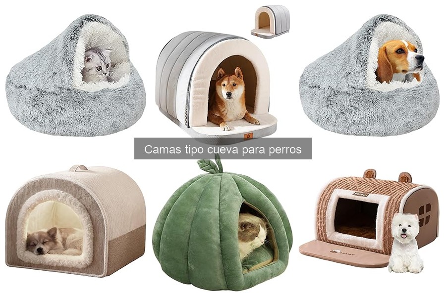 Problemas comunes con camas tipo cueva para perros