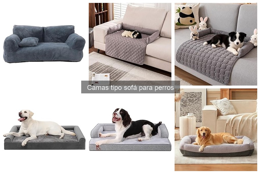 Problemas comunes con camas tipo sofá para perros