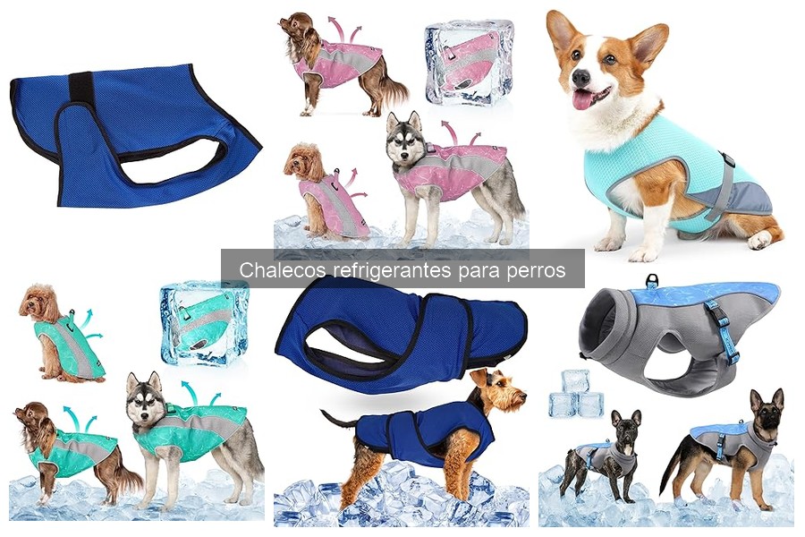 Problemas Comunes con Chalecos Refrigerantes para Perros