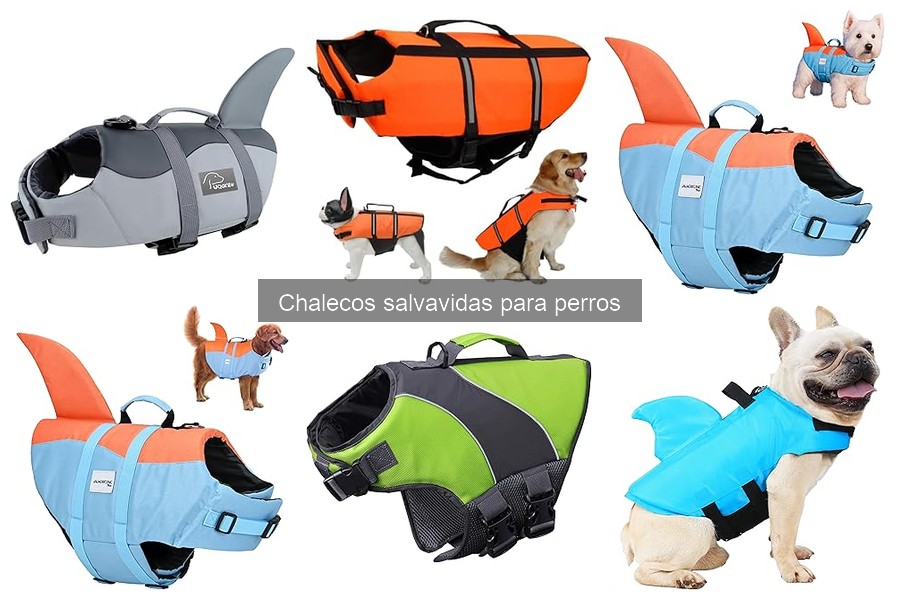 Problemas comunes con chalecos salvavidas para perros y sus soluciones
