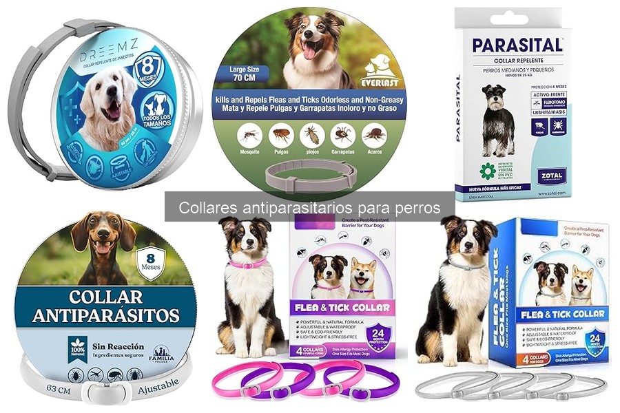 Problemas comunes con collares antiparasitarios para perros