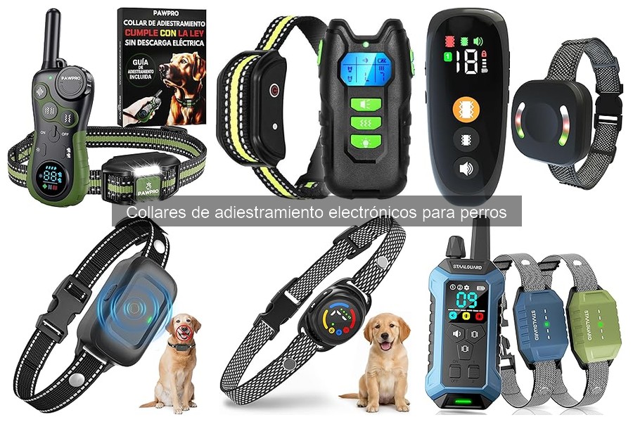 Problemas comunes con collares de adiestramiento y soluciones