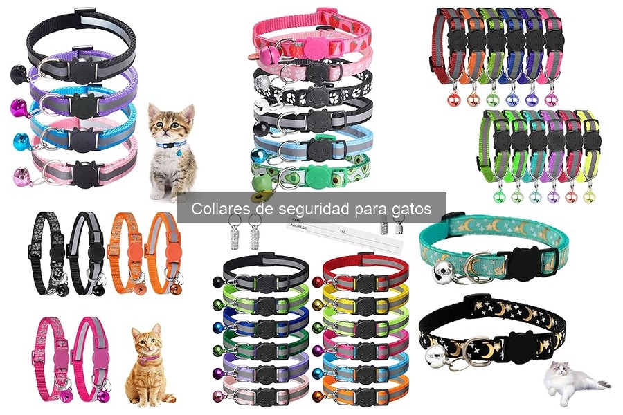 Problemas Comunes con Collares de Seguridad para Gatos