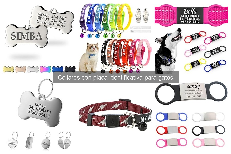 Problemas Comunes con Collares Identificativos para Gatos