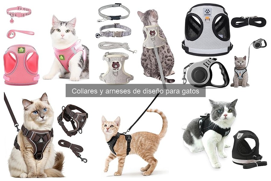 Problemas Comunes con Collares y Arnés de Diseño para Gatos