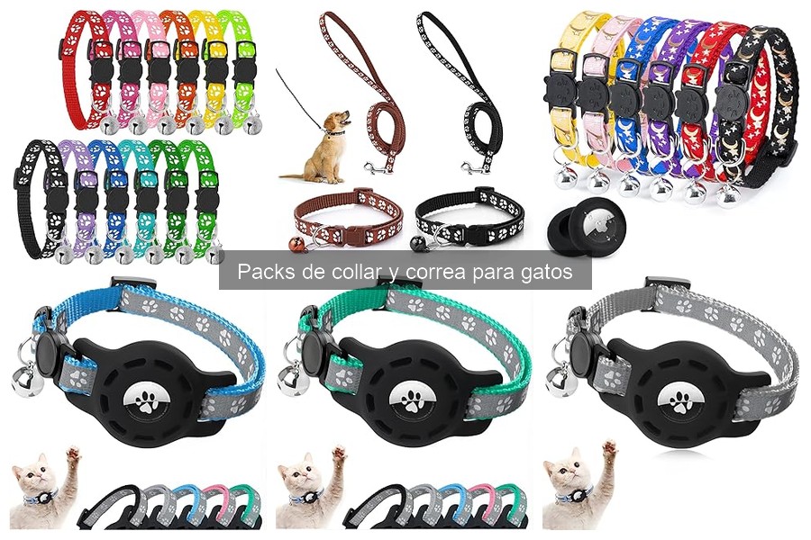 Problemas comunes con collares y correas para gatos