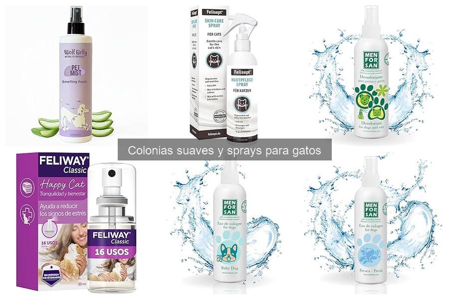 Problemas Comunes con Colonias Suaves para Gatos y Soluciones
