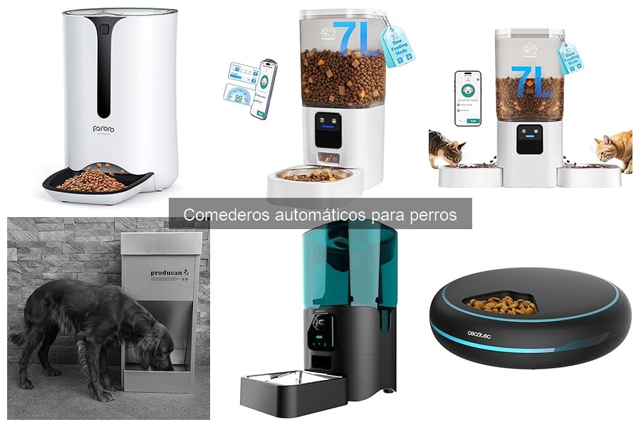 Problemas comunes con comederos automáticos para perros y soluciones