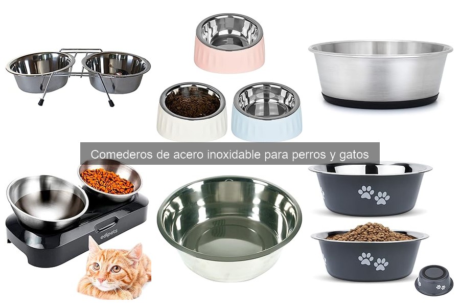 Problemas comunes con comederos de acero inoxidable