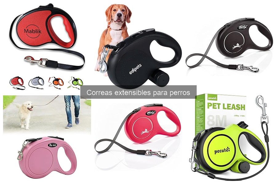 Problemas comunes con correas extensibles para perros y soluciones