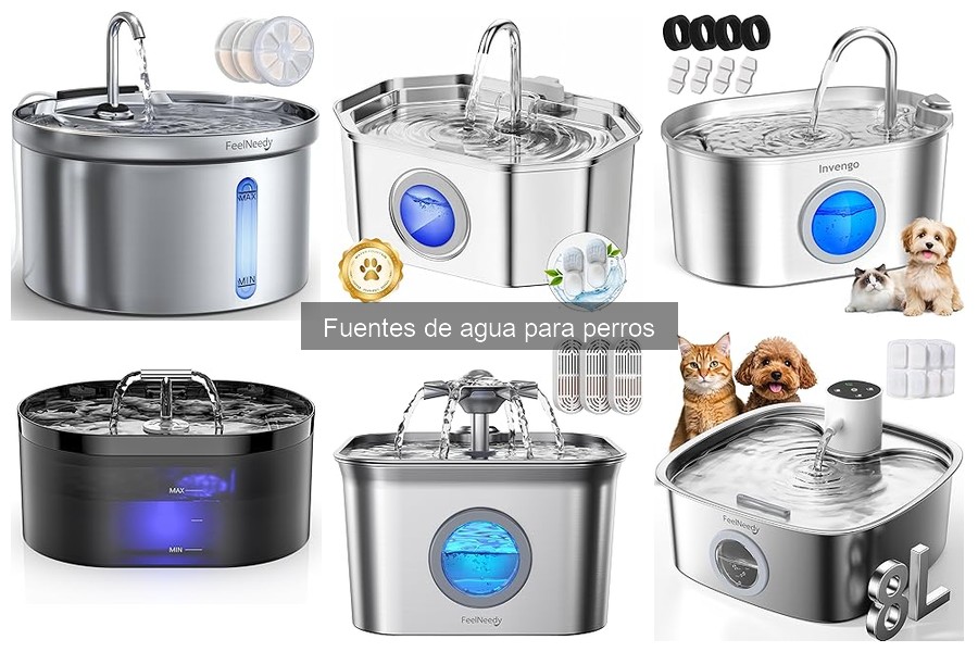 Problemas Comunes con Fuentes de Agua para Perros