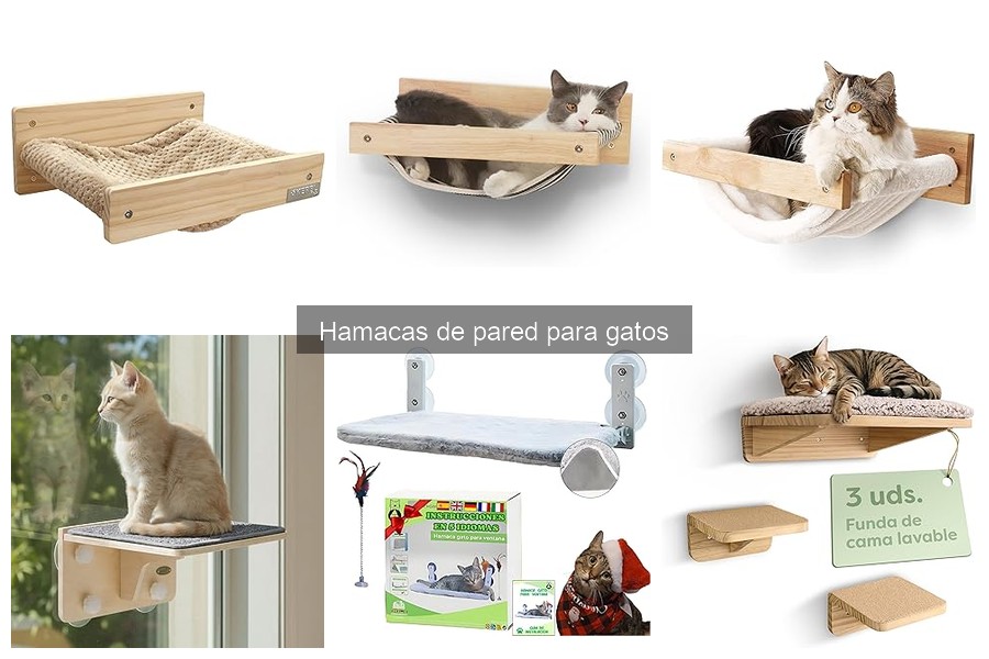 Problemas comunes con hamacas de pared para gatos y sus soluciones