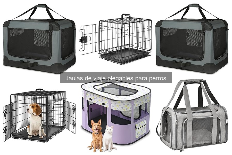 Problemas comunes con jaulas de viaje para perros y soluciones