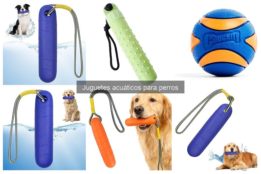 Problemas comunes con juguetes acuáticos para perros