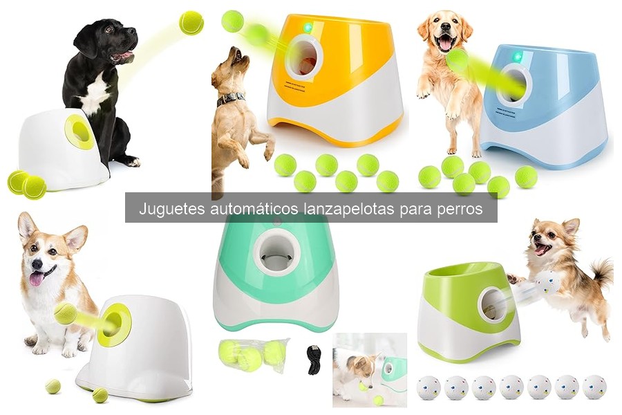 Problemas comunes con juguetes automáticos lanzapelotas para perros