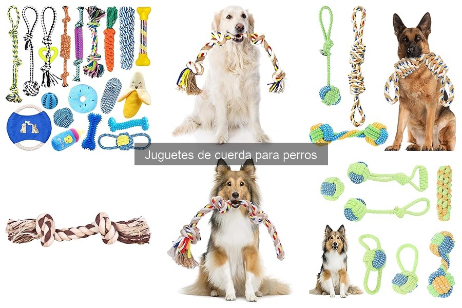 Problemas Comunes con Juguetes de Cuerda para Perros