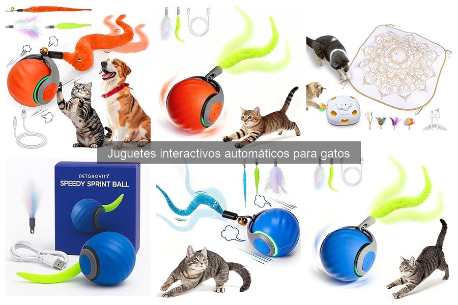 Problemas Comunes con Juguetes Interactivos para Gatos