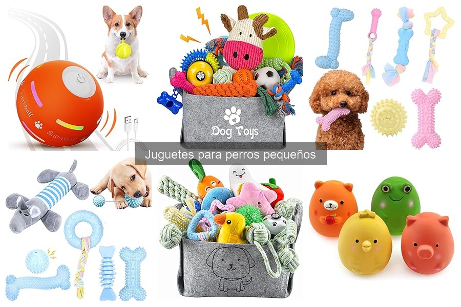 Problemas comunes con juguetes para perros pequeños y soluciones
