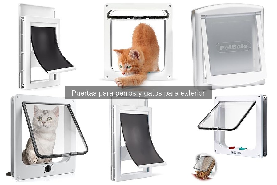 Problemas comunes con puertas para mascotas y soluciones
