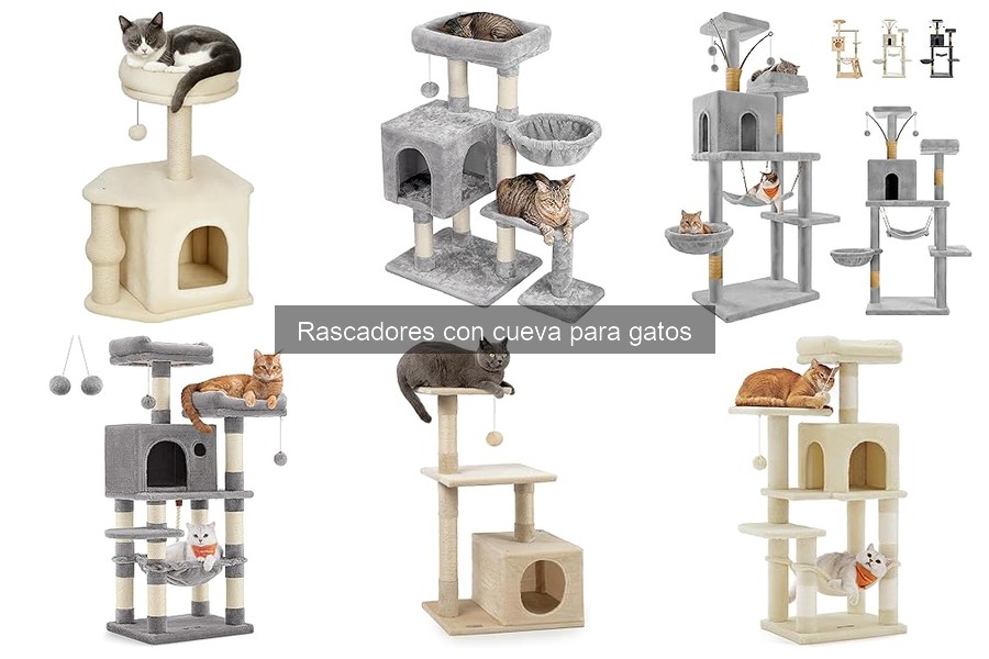 Problemas comunes con rascadores con cueva y sus soluciones