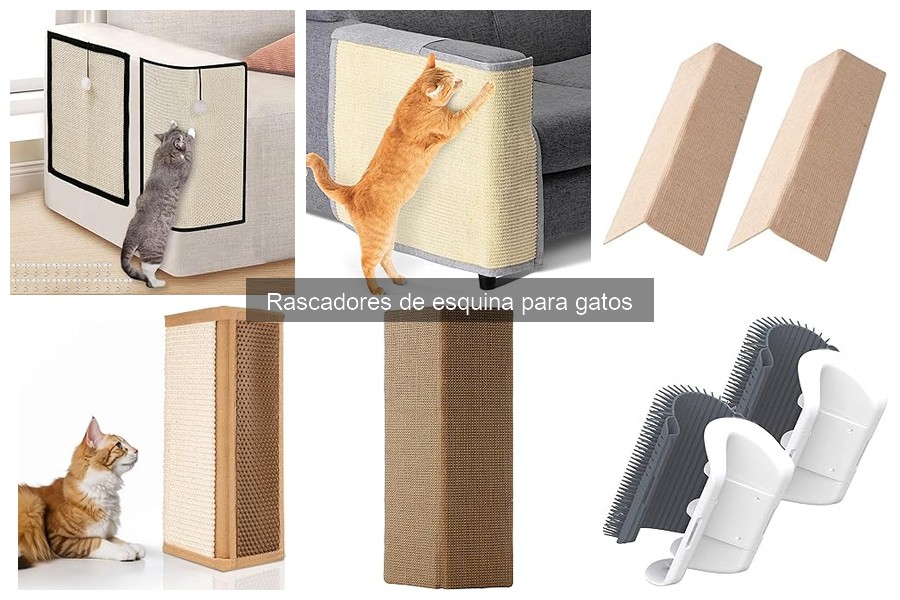 Problemas Comunes con Rascadores de Esquina para Gatos