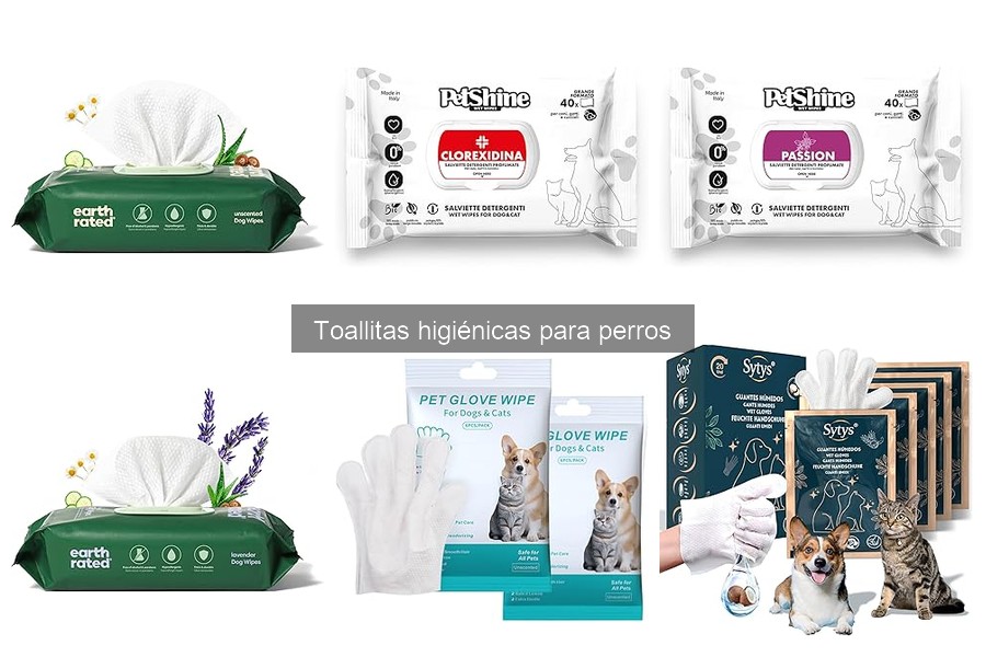 Problemas Comunes con Toallitas Higiénicas para Perros